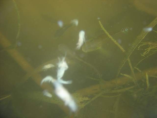 DSC05882.jpg