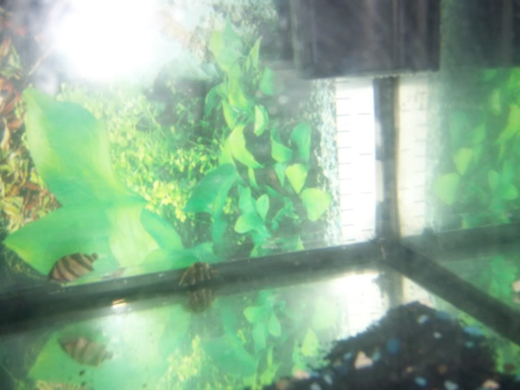 100_1010.jpg