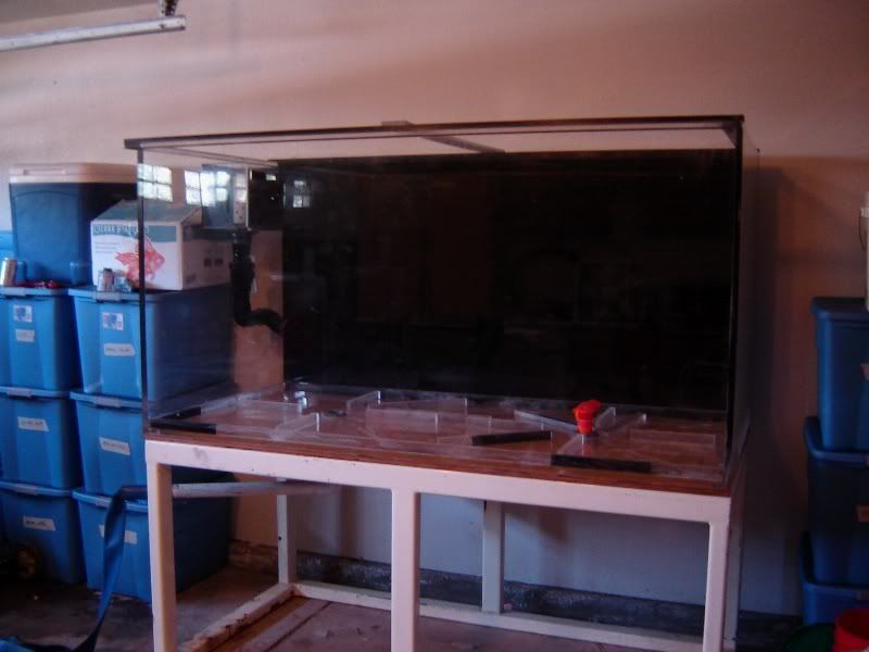 DSC07343.jpg