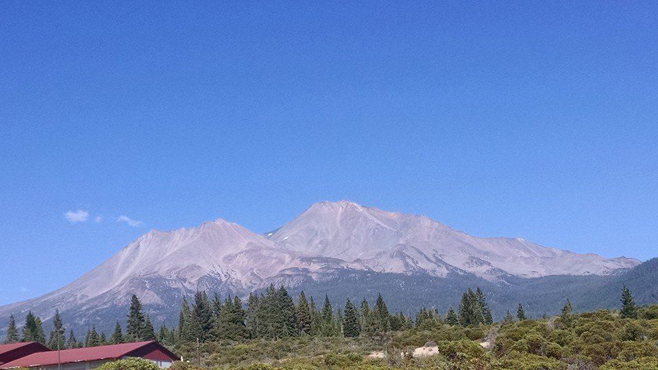 shasta1_zpszrrzehk6.jpg