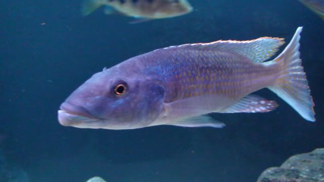 DSC01693.jpg