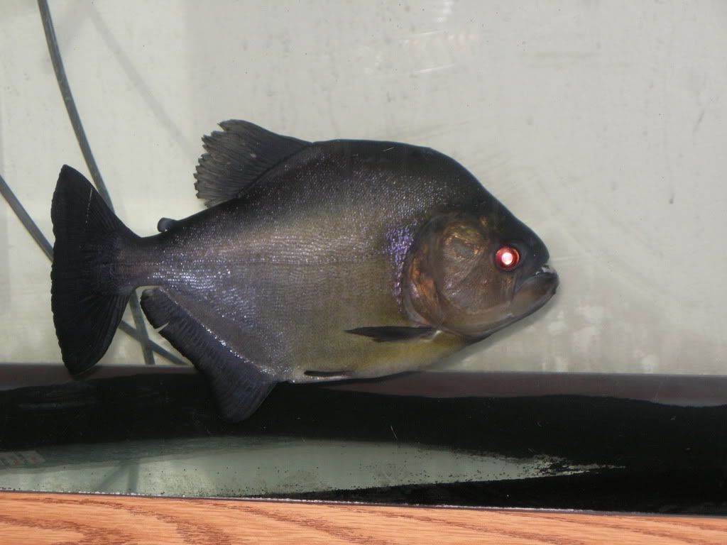 DSCN3181.jpg
