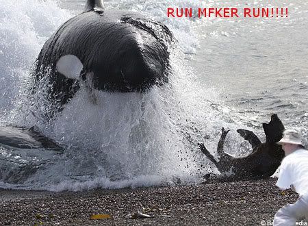 Runneorun.jpg