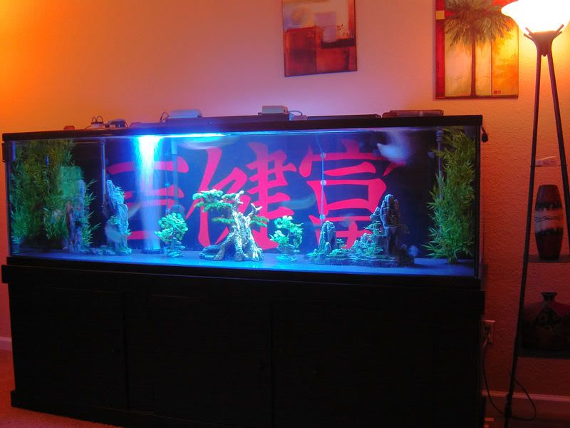 DSC06040a.jpg