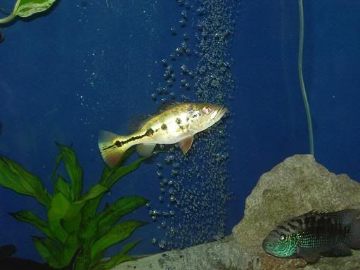 DSCN2473.jpg