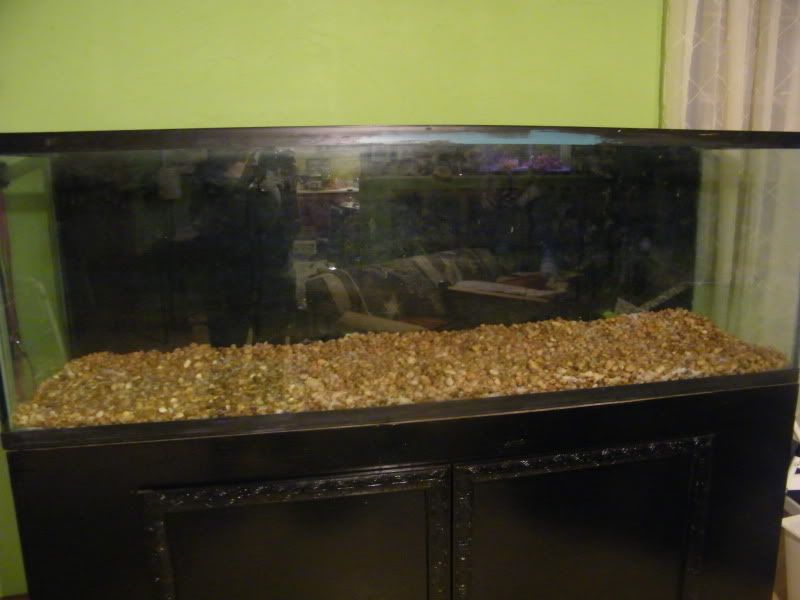 pics007.jpg