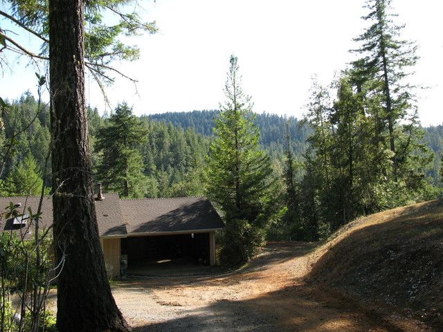 hill1.jpg