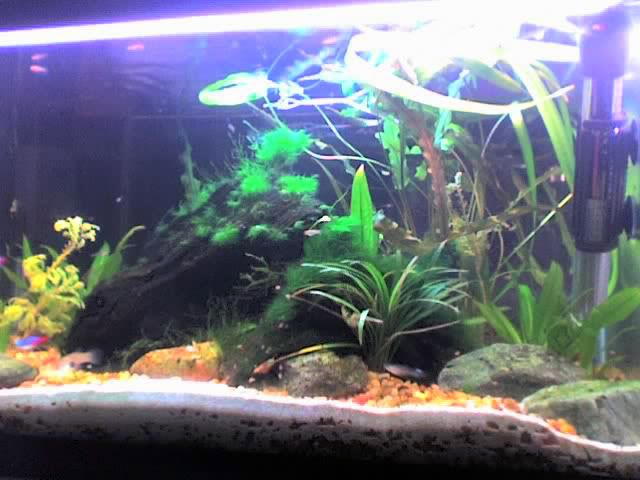 tank-shot.jpg