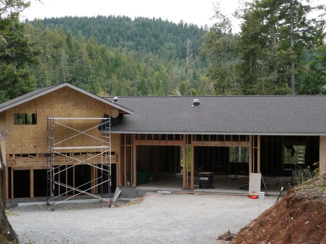 roof1.jpg