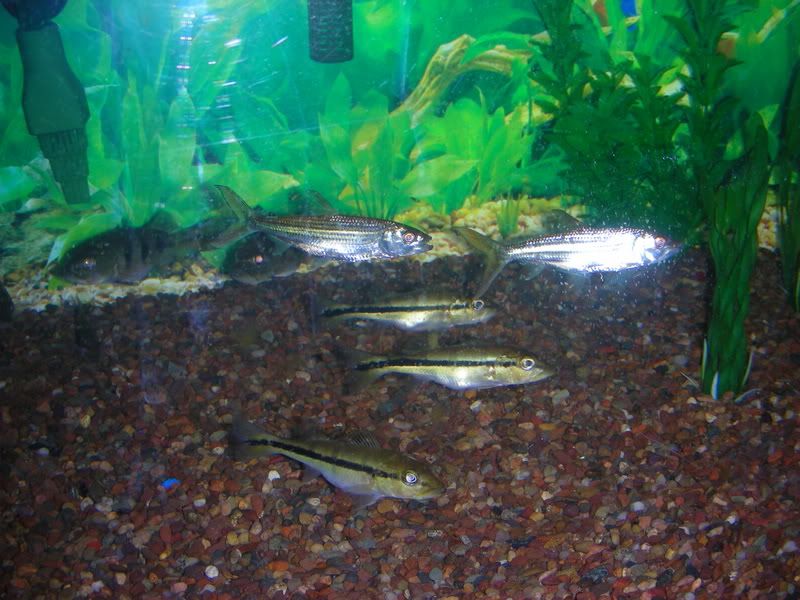 DSCN1515.jpg