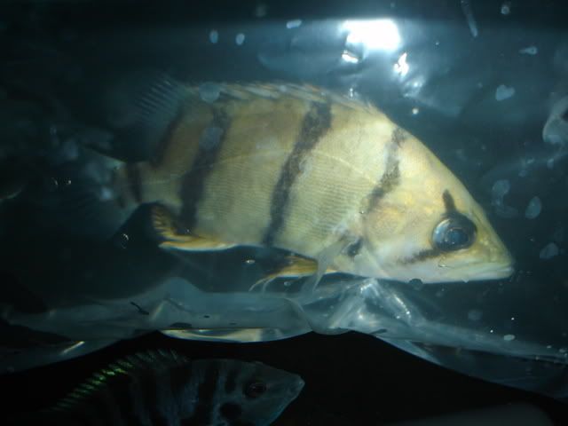 DSC00347.jpg
