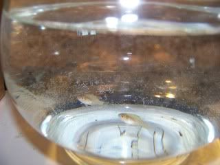 100_0798.jpg