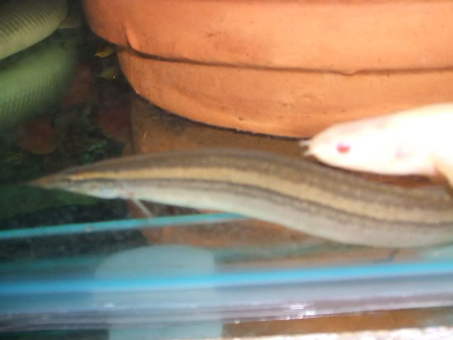 DSCF2406.jpg
