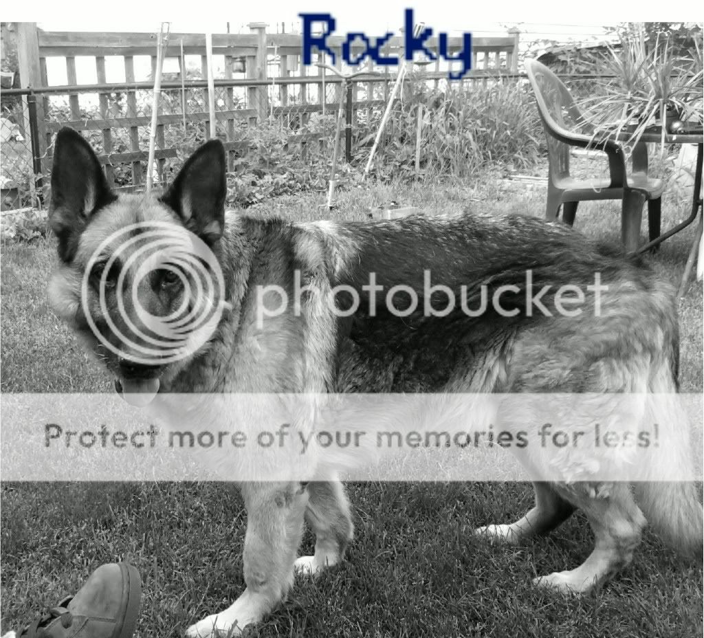 rocky.jpg