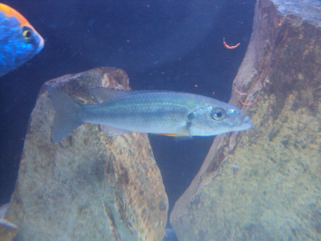 DSC01833.jpg