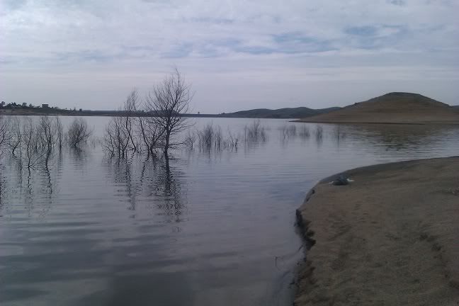 IMAG0653.jpg