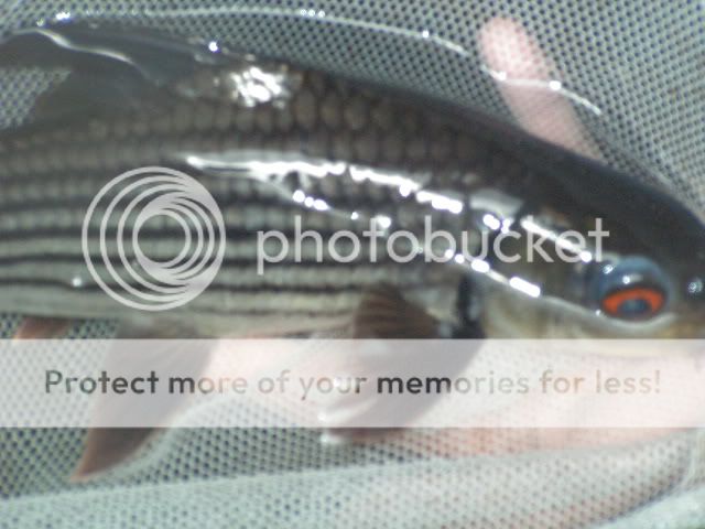 PICT0149.jpg
