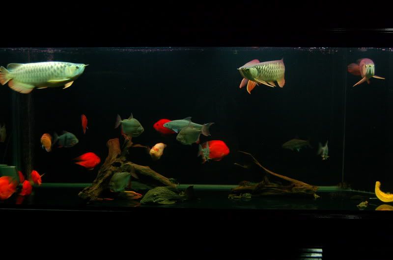 DSC_7171_resize.jpg