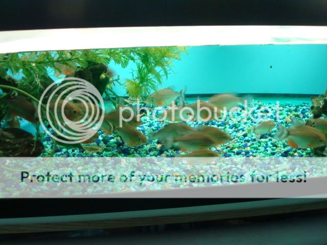 DSC05755.jpg