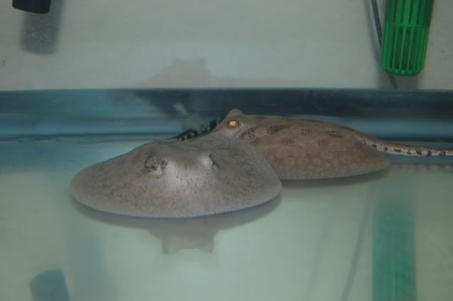 DSC_0446.jpg