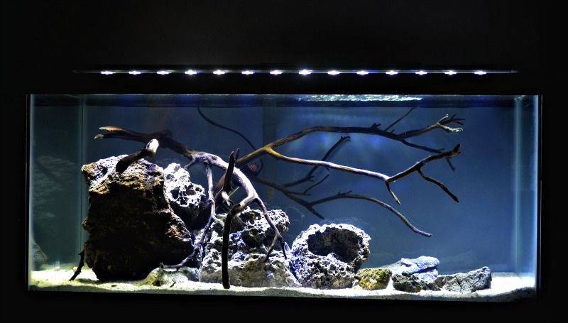 DSC_2871_zpseabmxni1.jpg