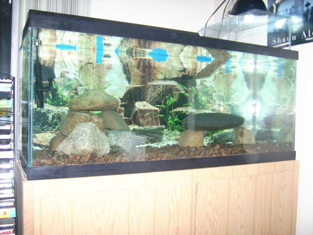 DSCI0121.jpg