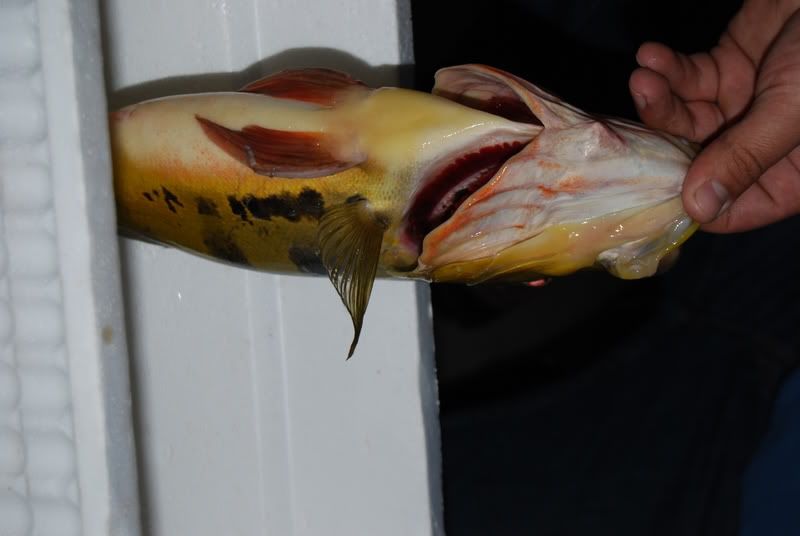 DSC_2390.jpg