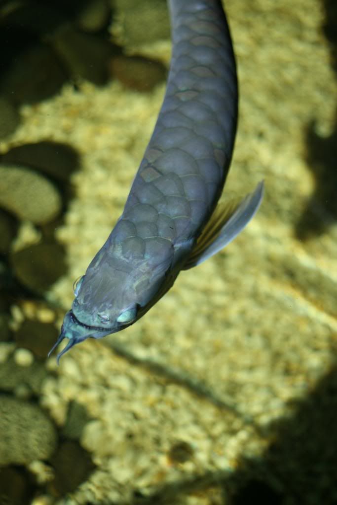 FishFishFish042.jpg