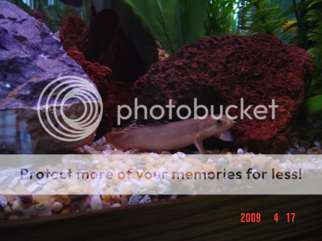 DSC02241.jpg