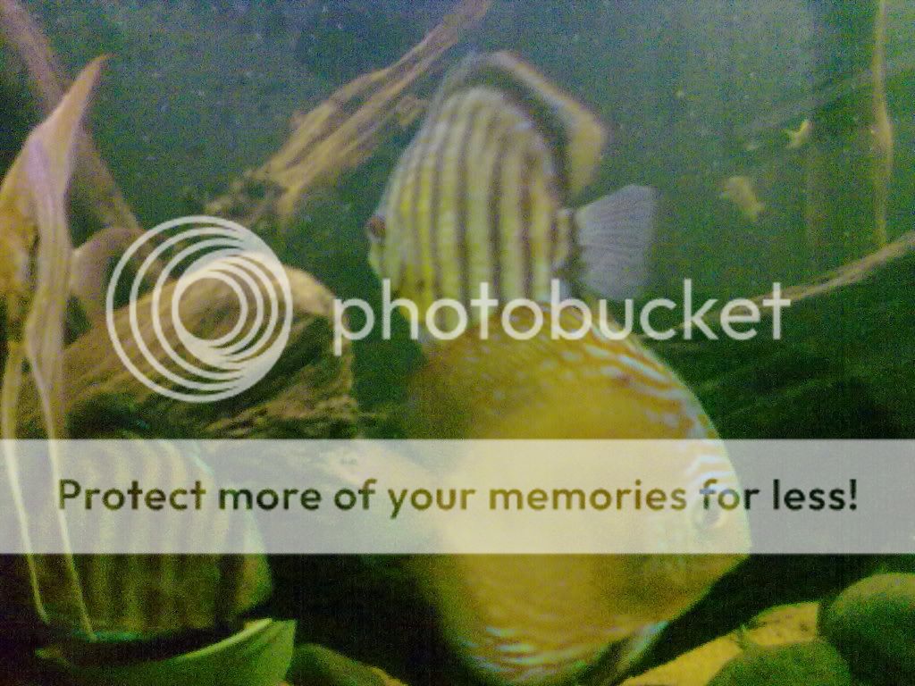 11062009204.jpg