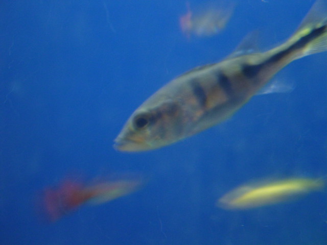 8273094201_815f0648c0_z.jpg