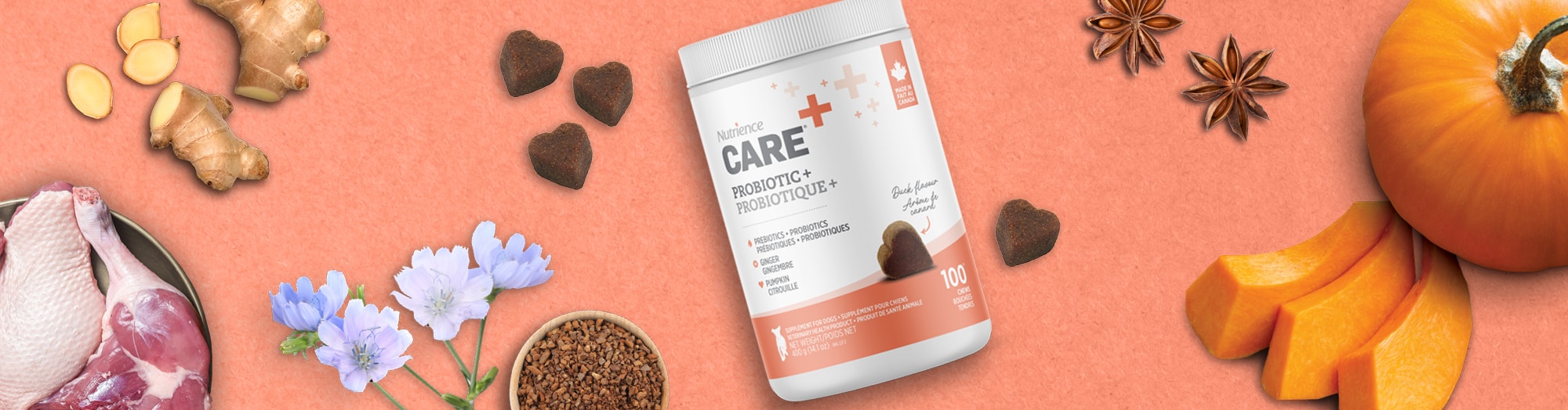 nutrience.com