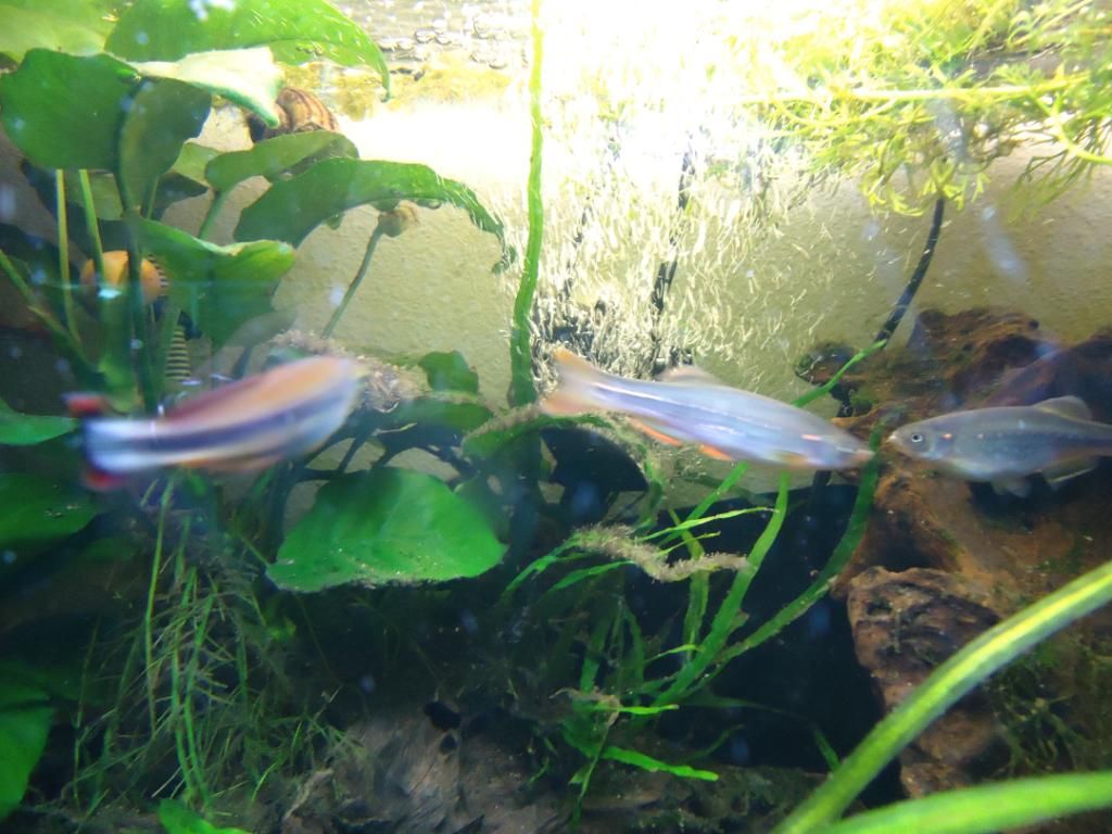 DSC08258.jpg