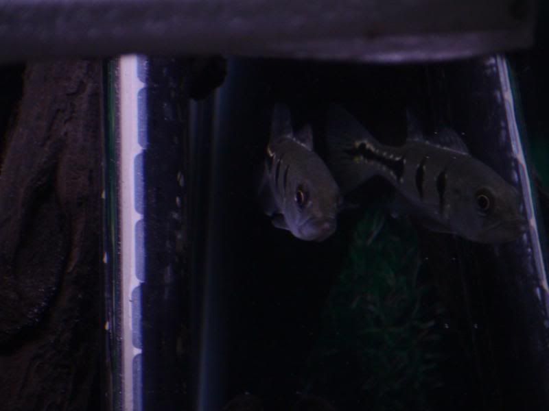 DSC00032.jpg
