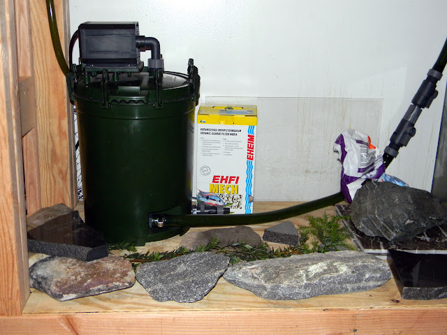 DSCN0034.JPG
