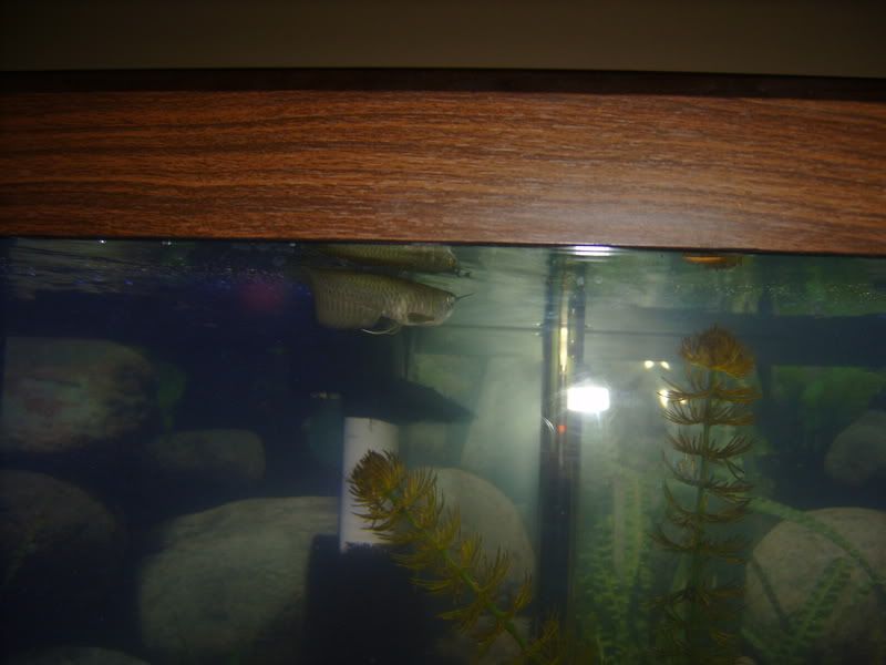 S5300089.jpg