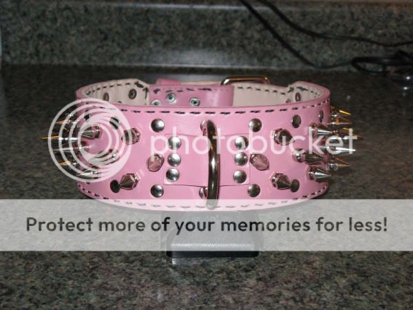 COLLAR3.jpg
