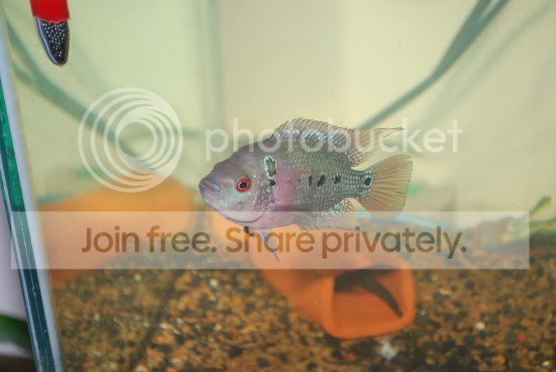 DSC_5912.jpg
