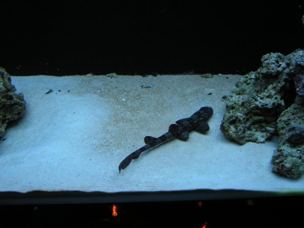 PICT0825.jpg