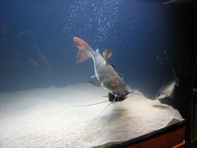 IMG_6926.jpg