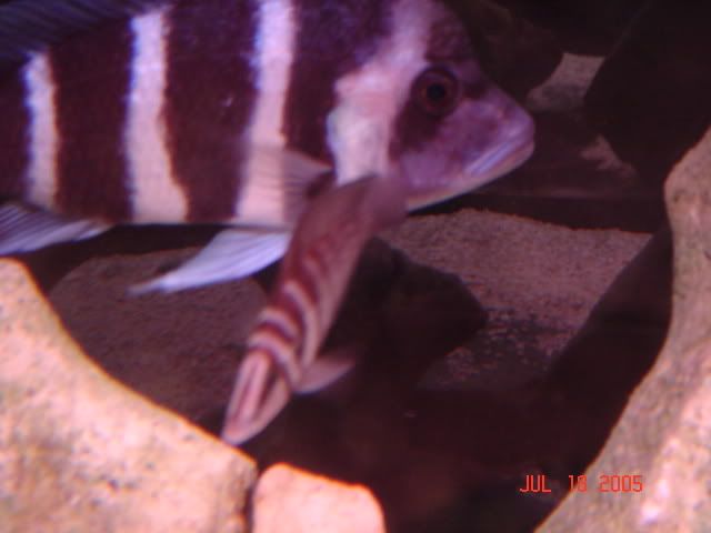 DSC01165.jpg