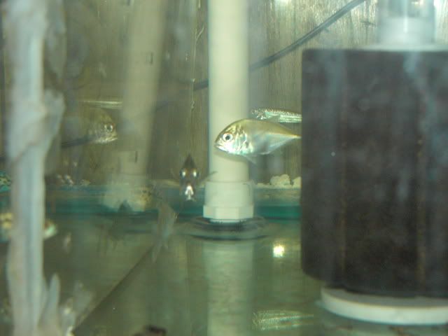IMAG0559.jpg