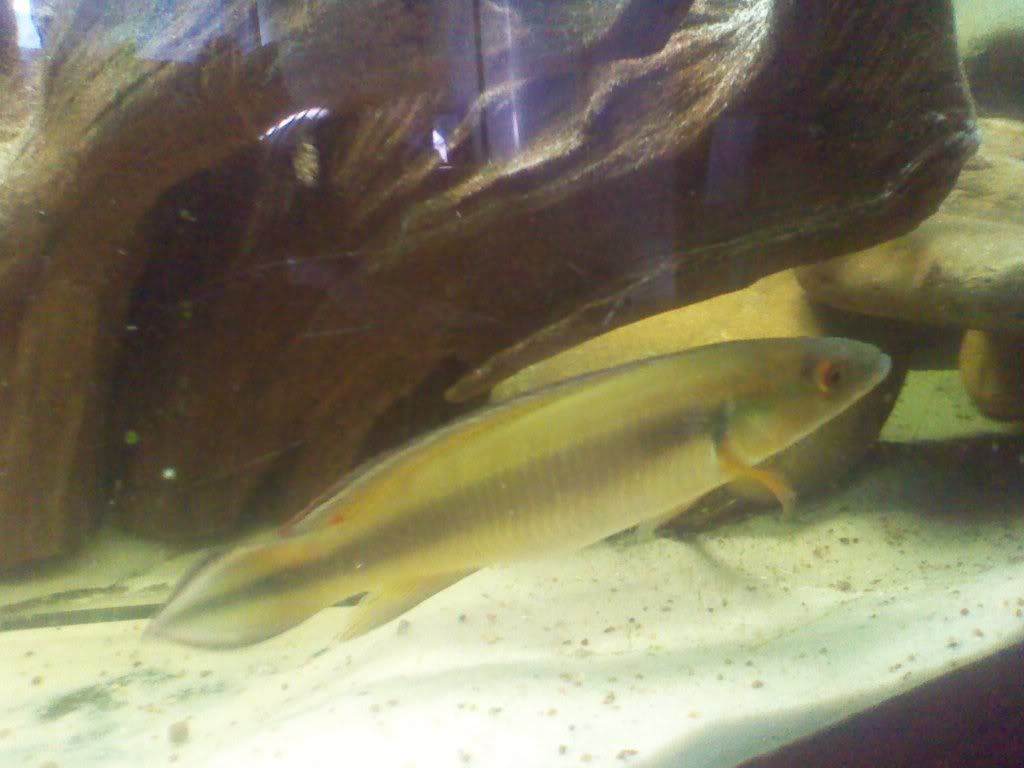 2011-04-10100455.jpg