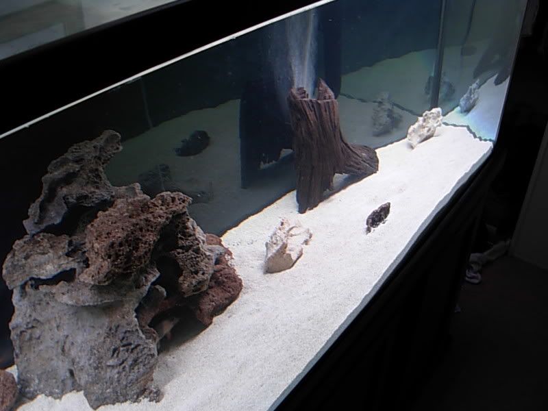 DSCN1311.jpg