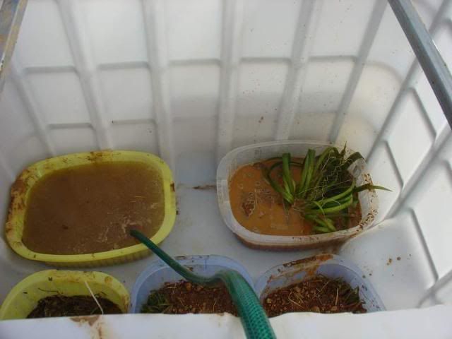 DSC04196.jpg