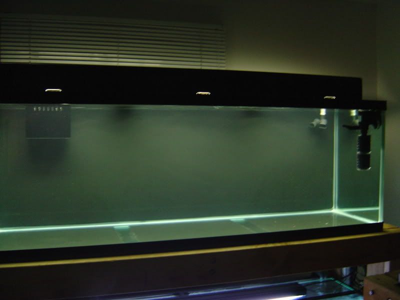 4-28-08005.jpg
