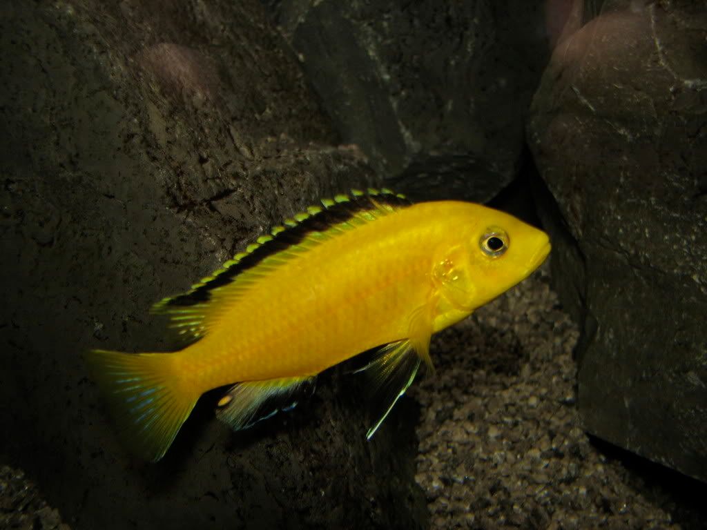 IMG_7740.jpg