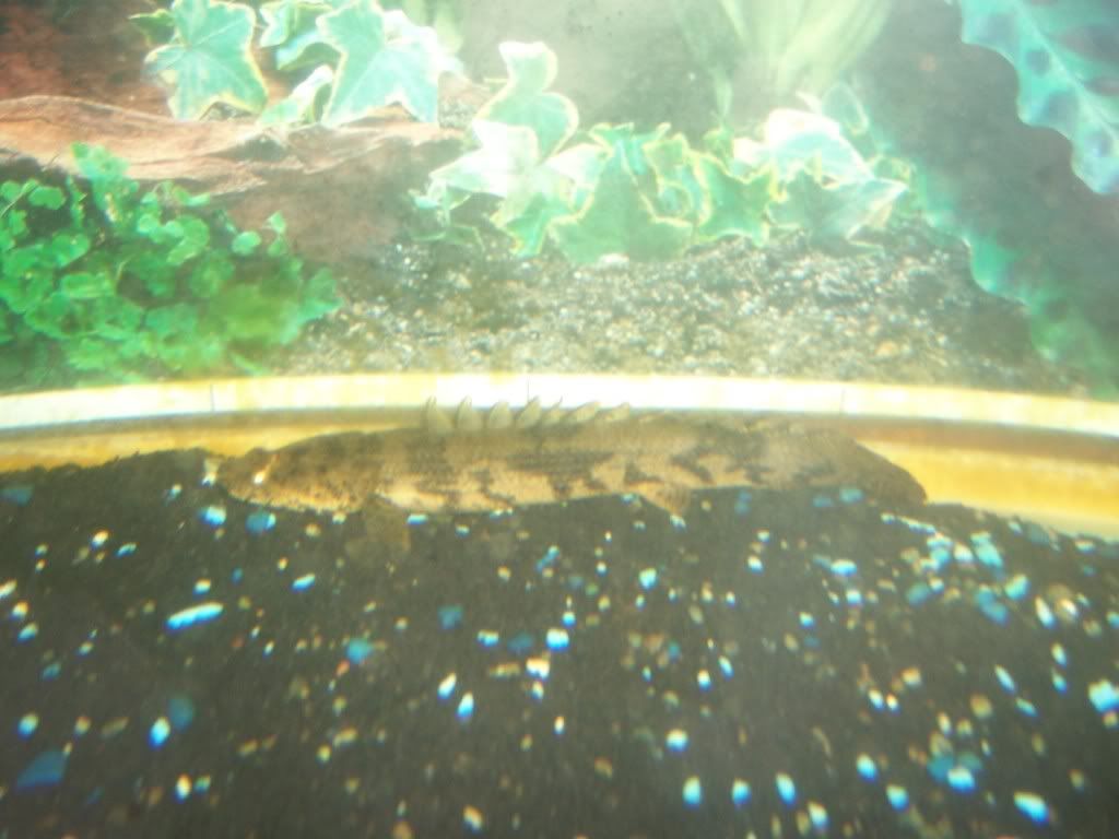 100_1067.jpg