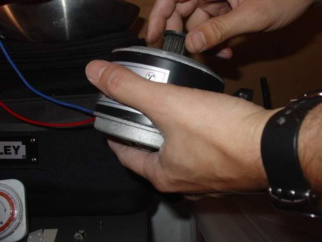 DSC01118.jpg