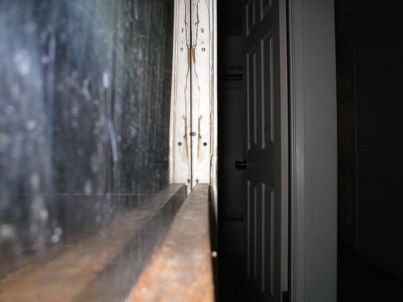 p1010120.jpg